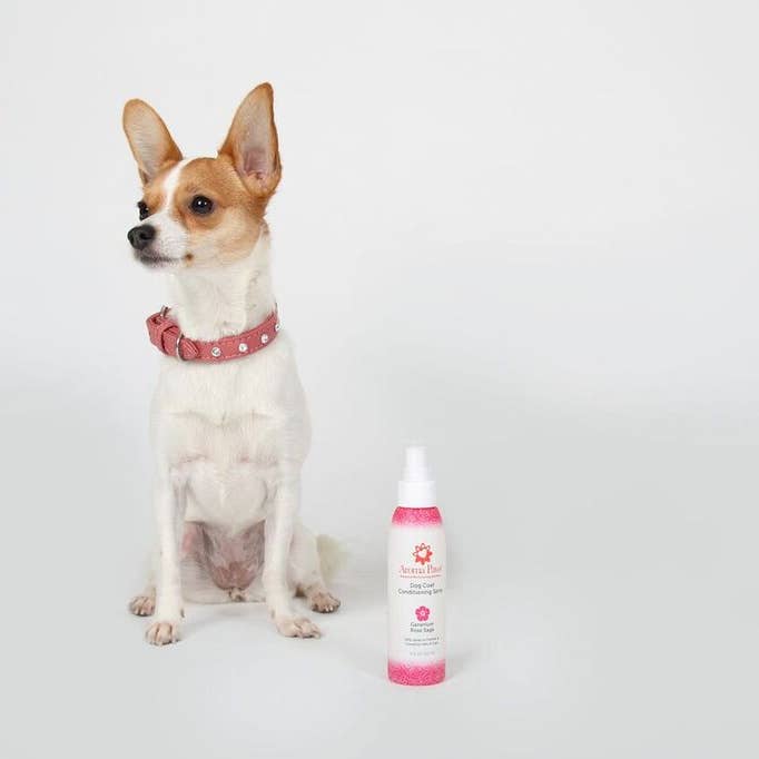 Aroma Paws – wholesale Pet shampoo – Dog – 13.5 Oz. Shampoo Geranium Sage3