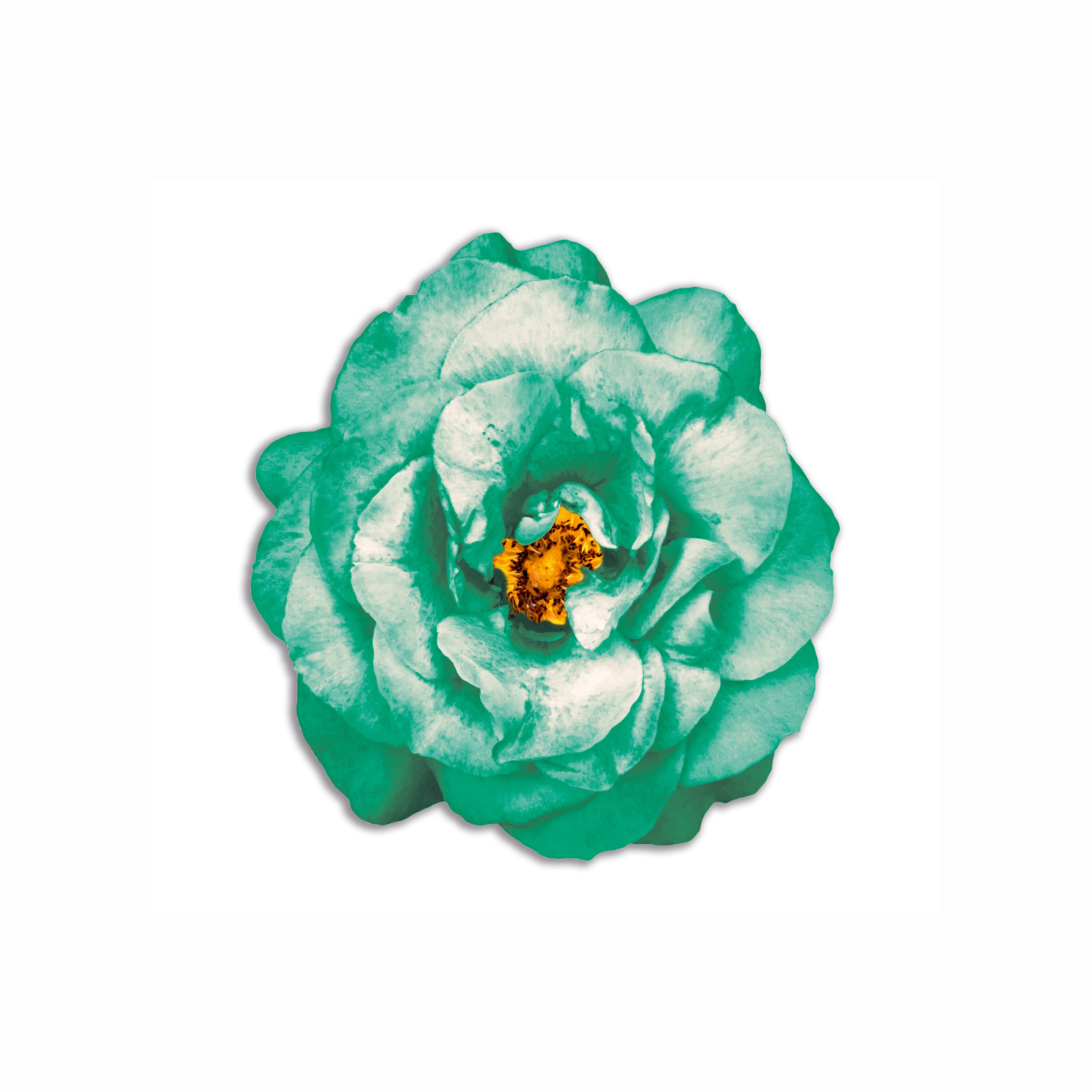 Emily Evans - Venta al por mayor Manteles individuales - Set de 6 individuales redondos con diseño de flores en PVC5