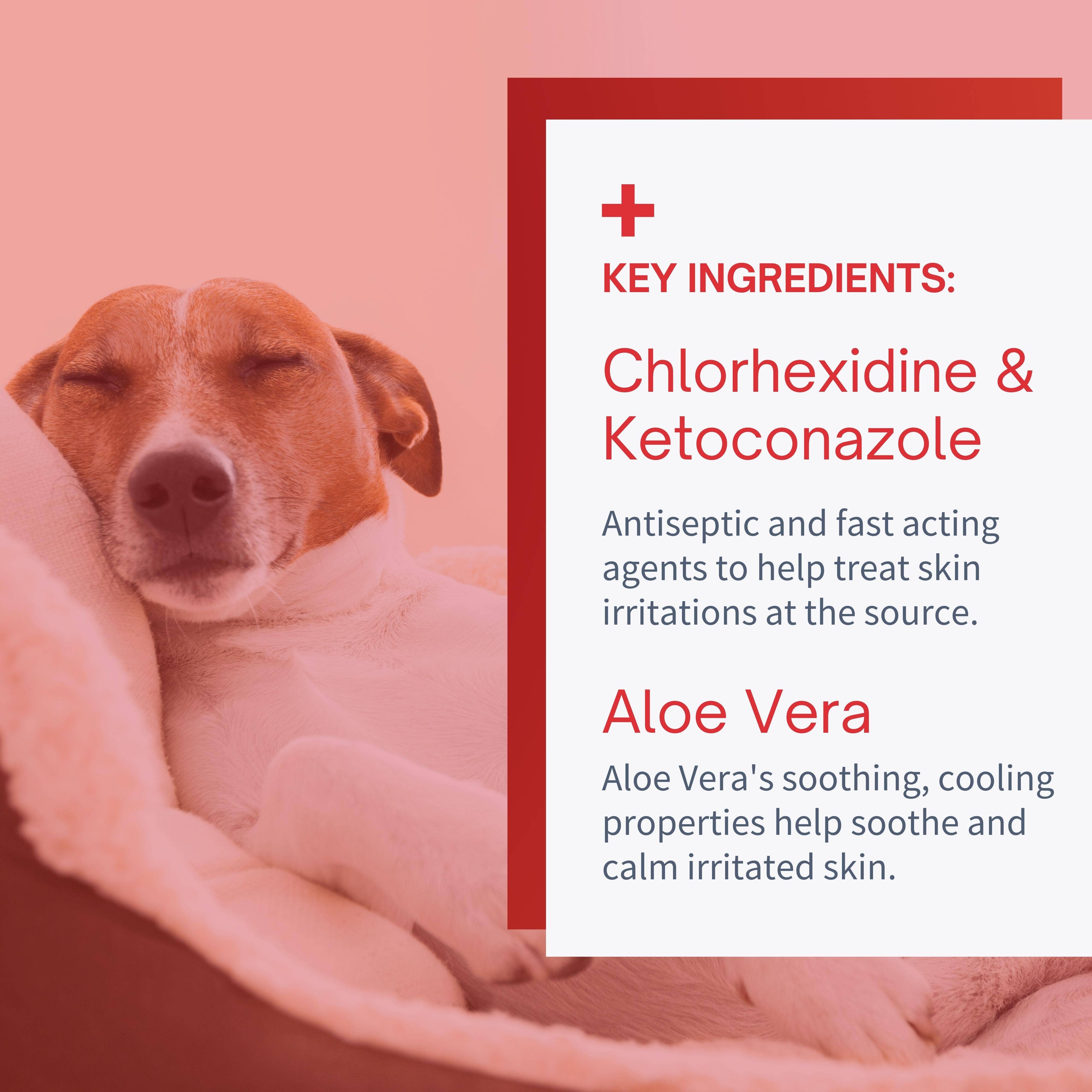 SensoVet - Vendita all'ingrosso Spray - Cani e gatti - Antisettico per punti caldi ed eruzioni cutanee per cani e gatti - 8oz3