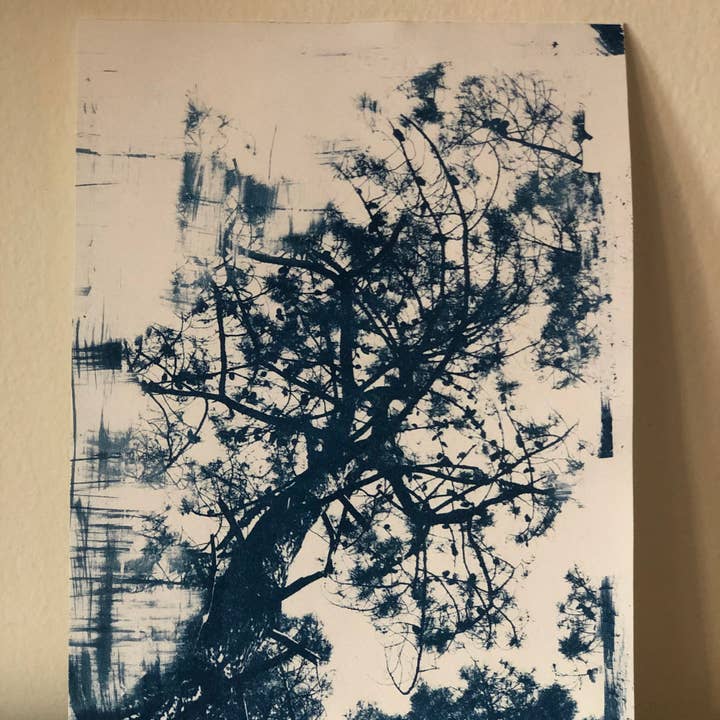 Cianotipia Estudio - Wholesale Art Print - Cyanotype nature3