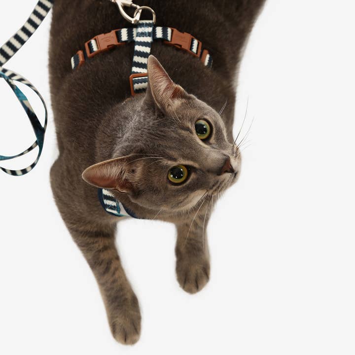 Toh - Wholesale Pet Harness - Cat - Cat H-Harness Comfort + Leash Set Noronha2
