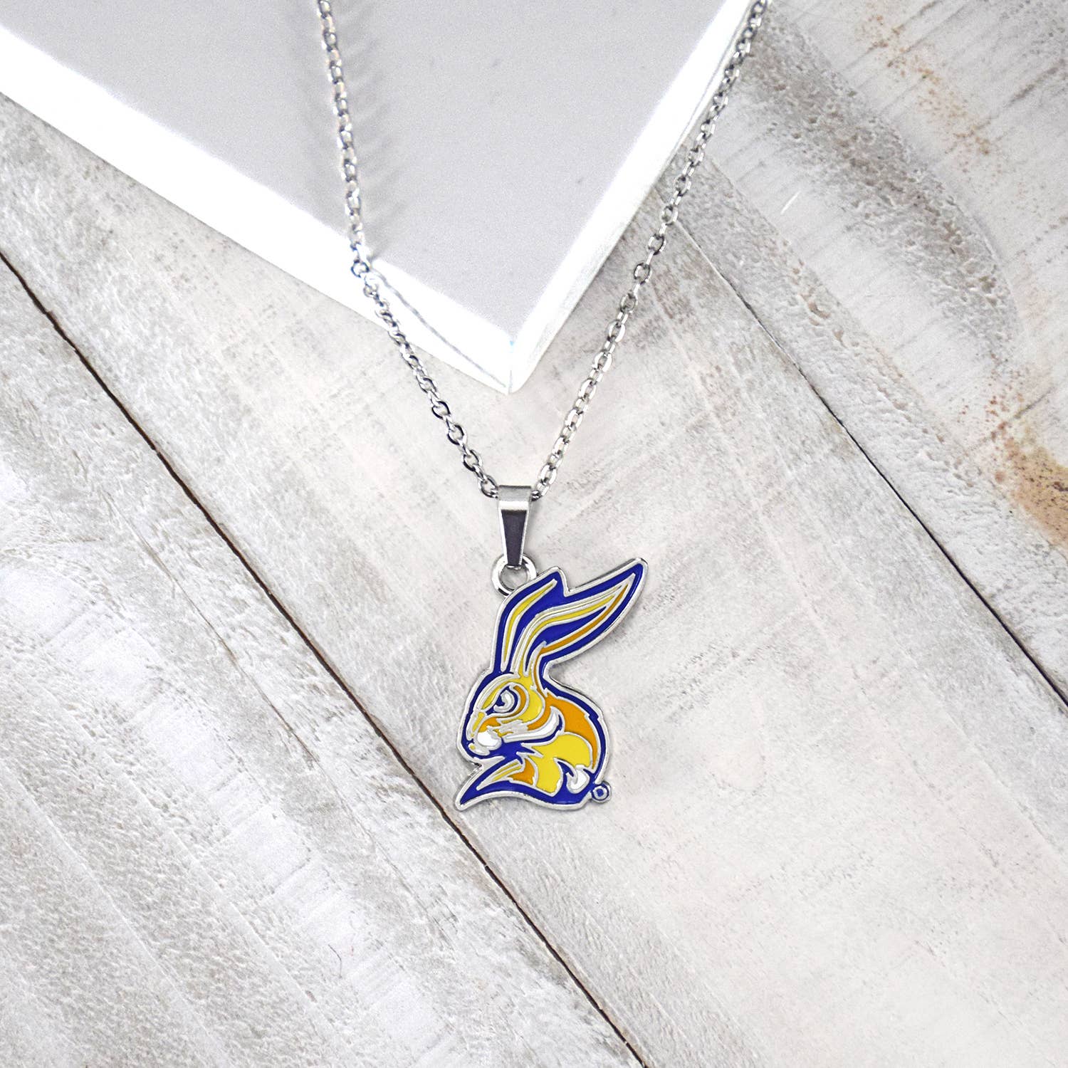 Fan Frenzy Gifts - Wholesale Pendant/Charm Necklace - Fan Frenzy Gifts South Dakota State Silver Fan Necklace2