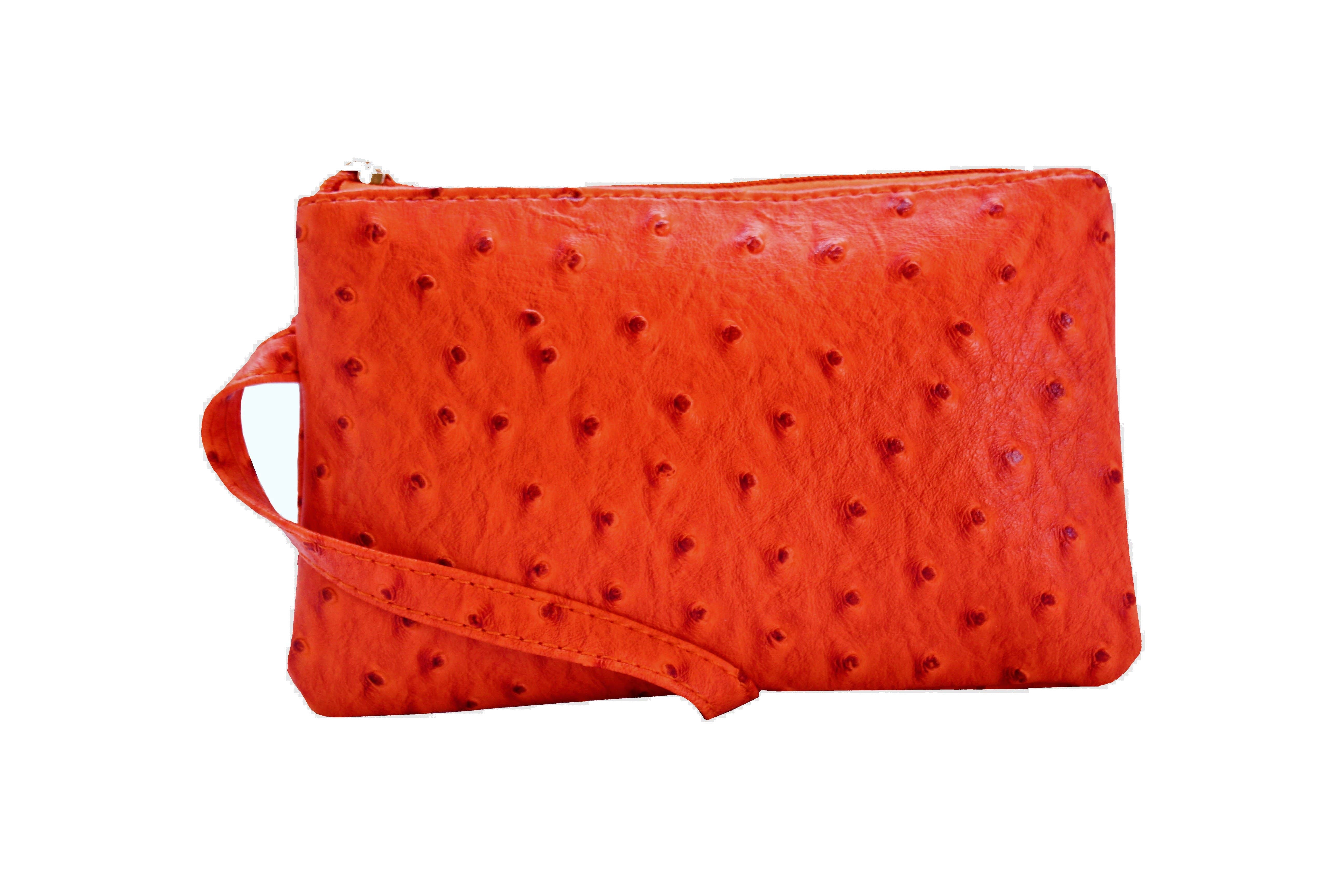 22 Tote - Vente Bracelets - Pochette bracelet autruche éclatante12