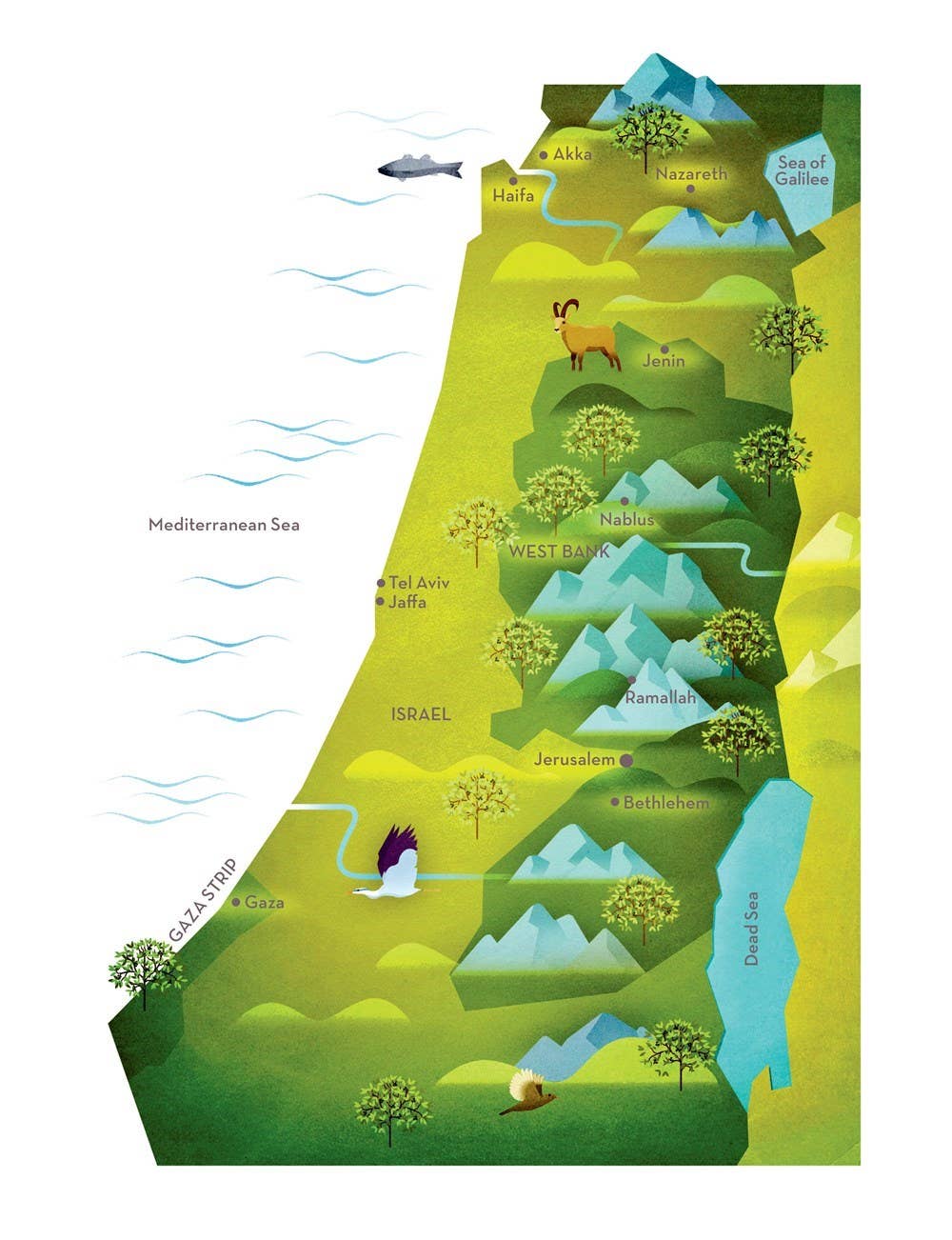 W. W. Norton - Wholesale Cookbooks & Food - Zaitoun: Recipes from the Palestinian Kitchen1