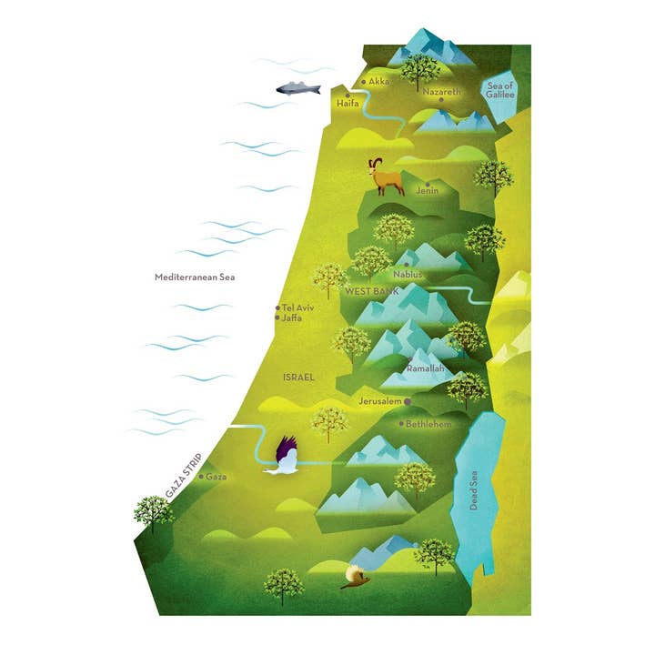 W. W. Norton - Wholesale Cookbooks & Food - Zaitoun: Recipes from the Palestinian Kitchen1