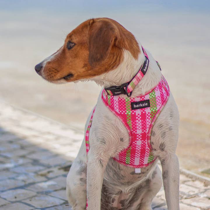 barkzie – Engroshandel Kæledyrssele – Hund – Justerbar sele - Santa Monica7