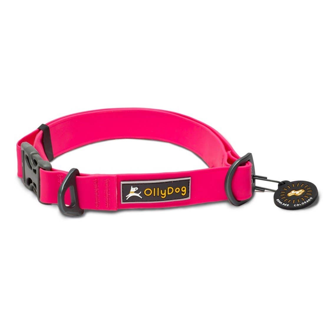 OllyDog - Wholesale Pet Collar - Dog - Tilden Waterproof Collar2