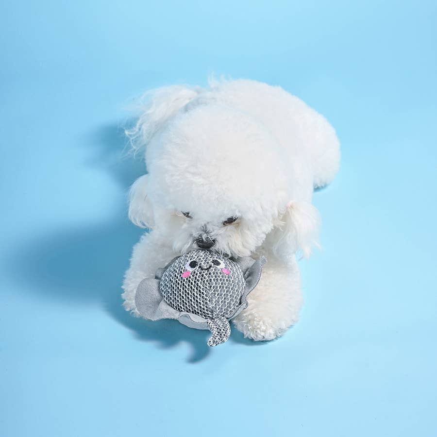 Hugsmart Products Inc - Wholesale Pet Fetch Ball - Dog - HugSmart Pet - Ocean Pals | Stingray - Dog Ball Toy2