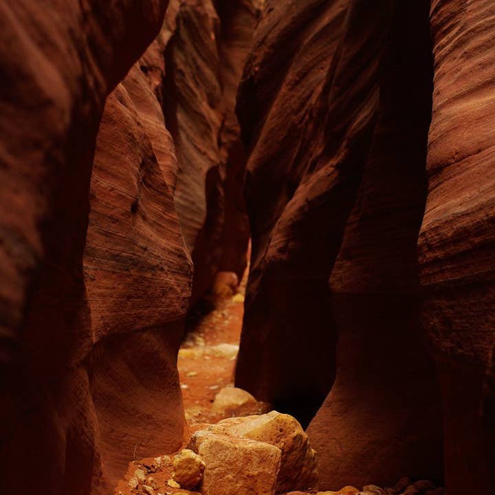 Utah, Slot Canyon, Nature, Desert Wall Art, Southwest, Utah Geology, Wire Pass, Buckskin Gulch, Orange for wholesale by lostkatphoto