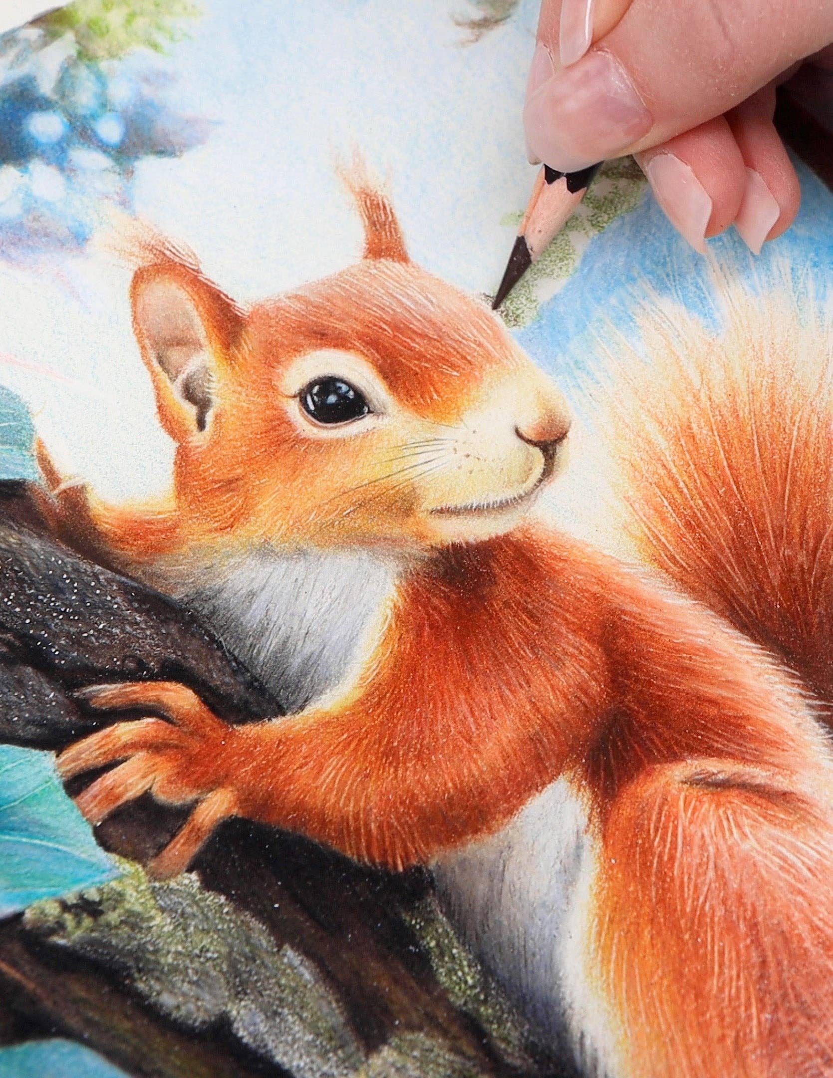 Grizaye - Wholesale DIY Craft Kit - Drawing Kit: Red Squirrel4