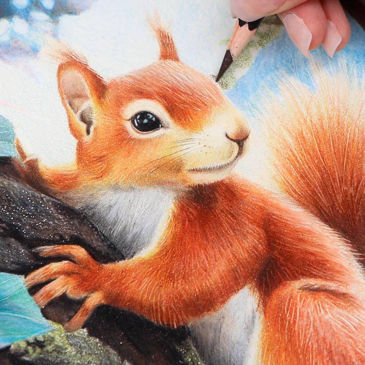 Grizaye - Wholesale DIY Craft Kit - Drawing Kit: Red Squirrel4