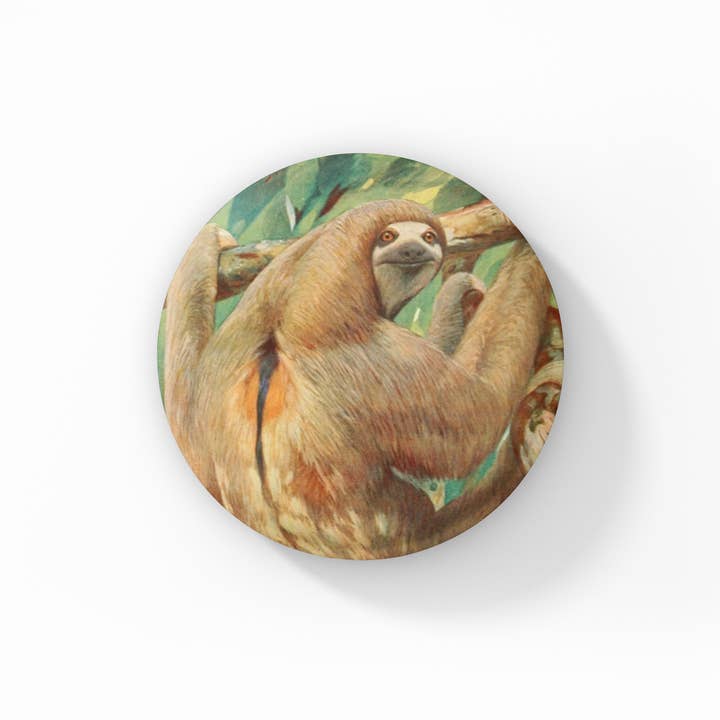 Sloth Pin Button, Sloth Keychain, Sloth Magnet for wholesale by NatureCuts