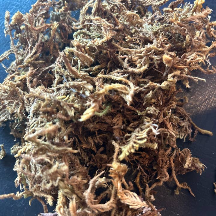 Moss Tumbles for wholesale by The Cranberry Cornstalk Co.