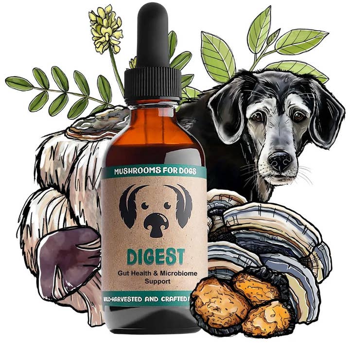 MycoDog - Wholesale Pet Supplement - Dog - Digest – Mushroom Tincture for Dogs | Digestive Support