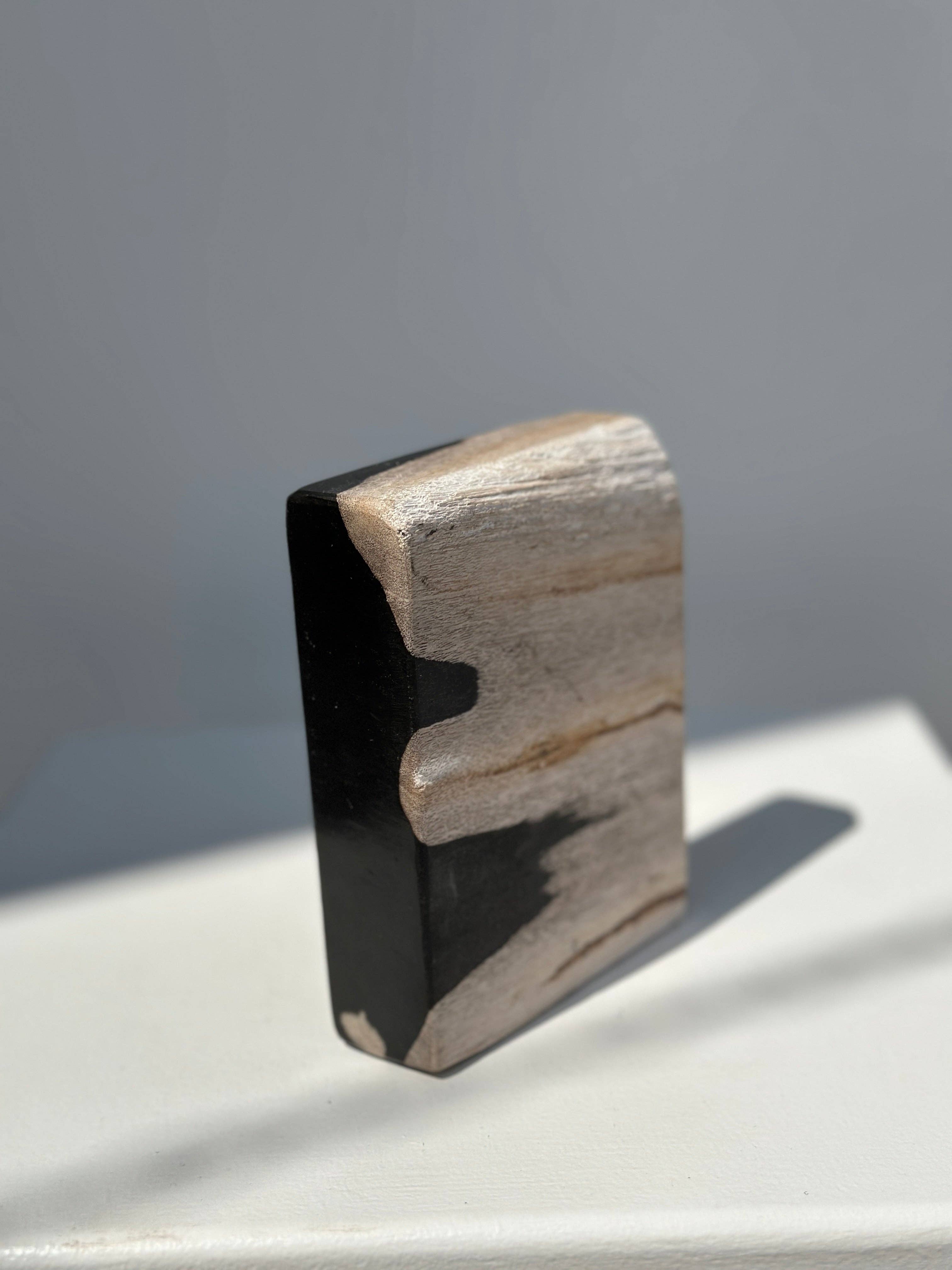 Office Objets - Wholesale Bath Soap Dish - Petrified wood soap dish with white underside12