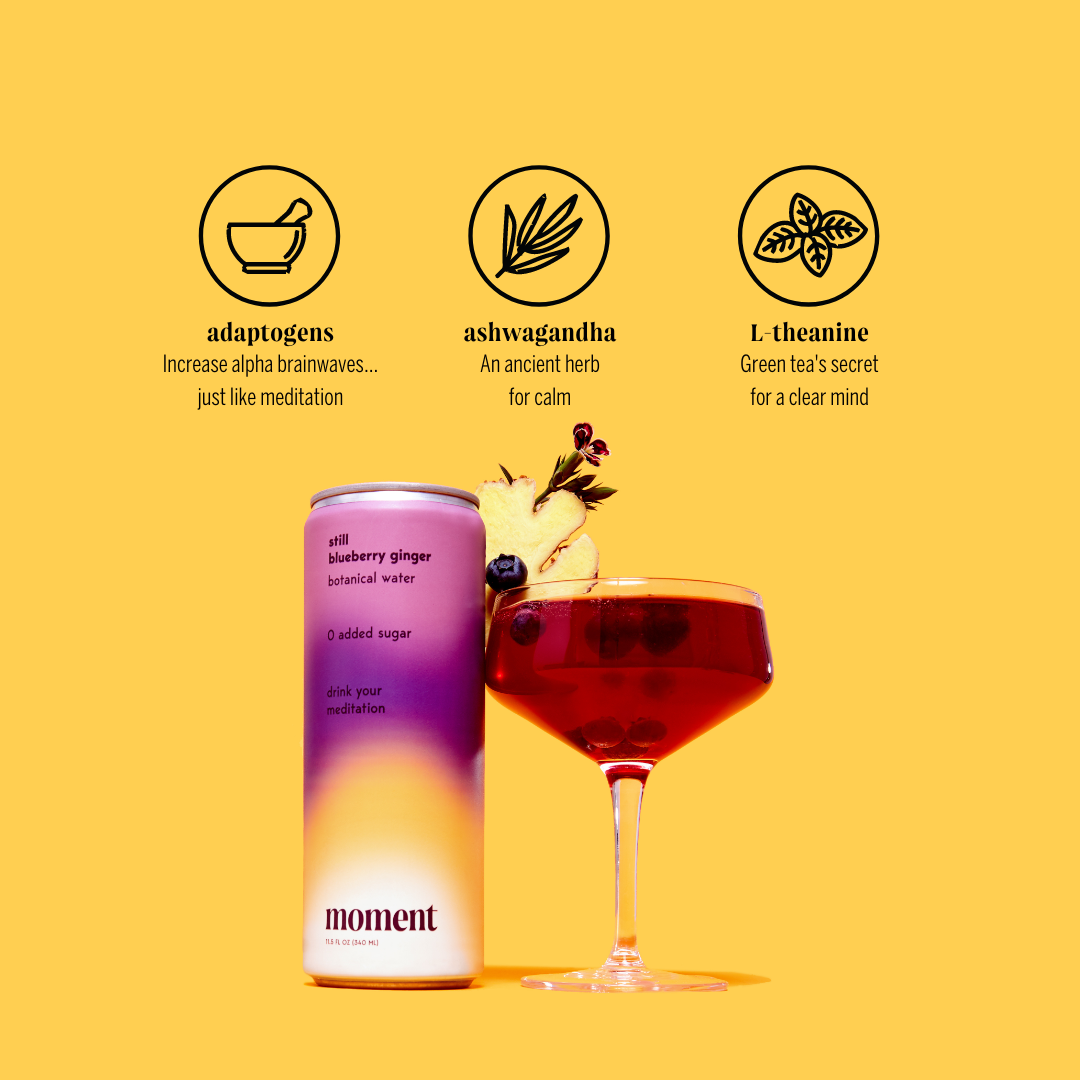 Moment - Wholesale Flavored/Infused Water (Non-Carbonated) - Moment Botanical Water 18-pack still Sampler1