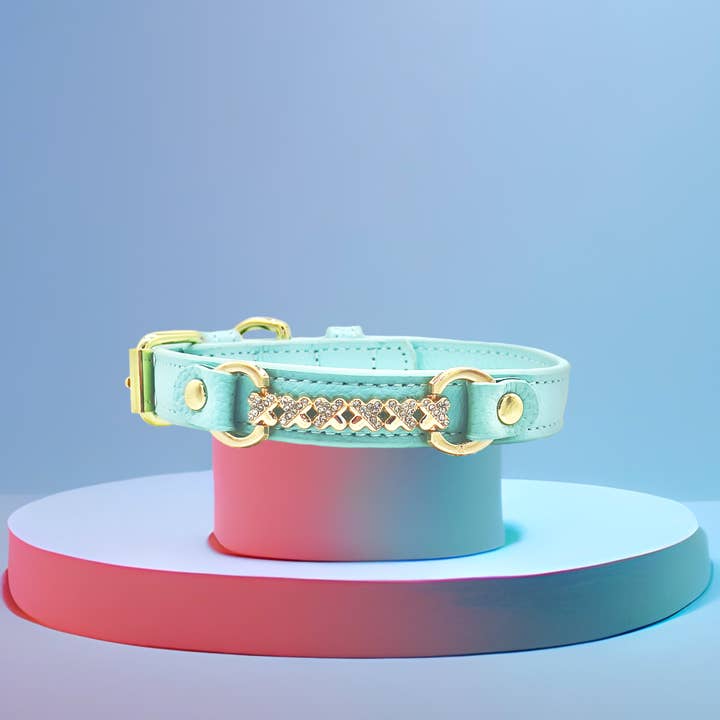 PupWiser - Wholesale Pet Collar - Dog - MAXIMA Handmade Leather Dog Collar (Orange and Turquoise)5