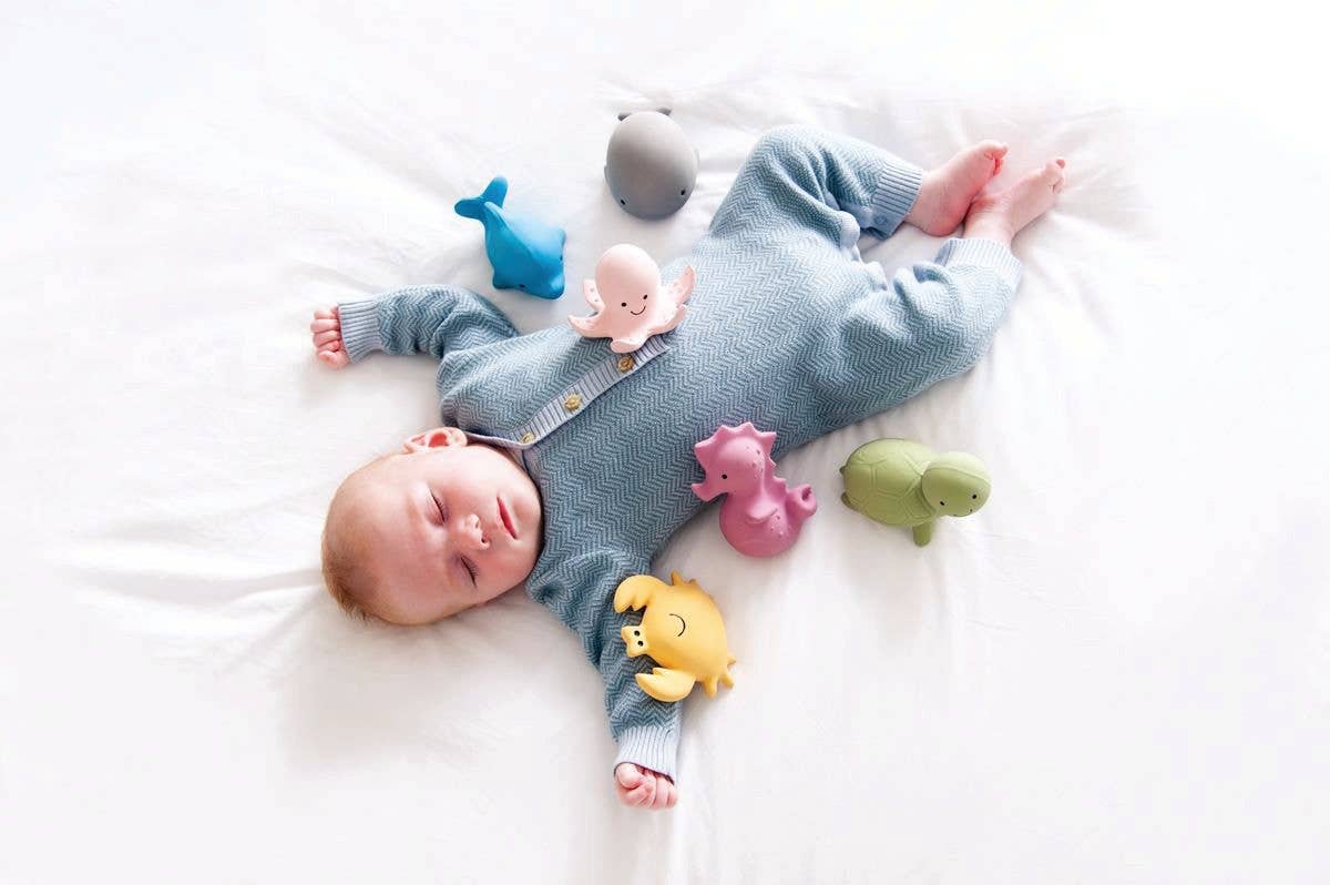 Tikiri Toys LLC - Wholesale Bath Toy - Baby - Dolphin Natural Organic Rubber Teether, Rattle & Bath Toy11