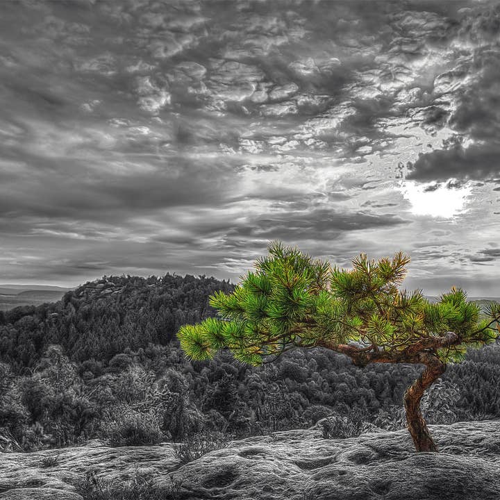 stretcher for wholesale by Bönninghoff