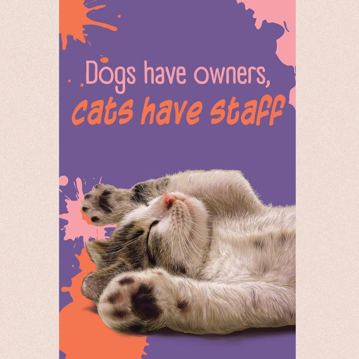 purrPETuallove - Wholesale Everyday Greeting Card - Staff
