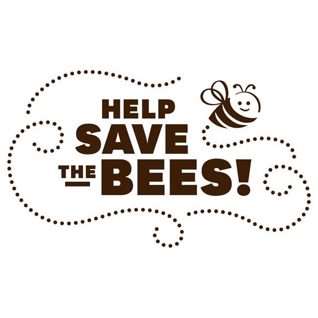 Moon Valley Organics - Wholesale Lip Balm - Tropical Coconut Lime Beeswax Lip Balm3