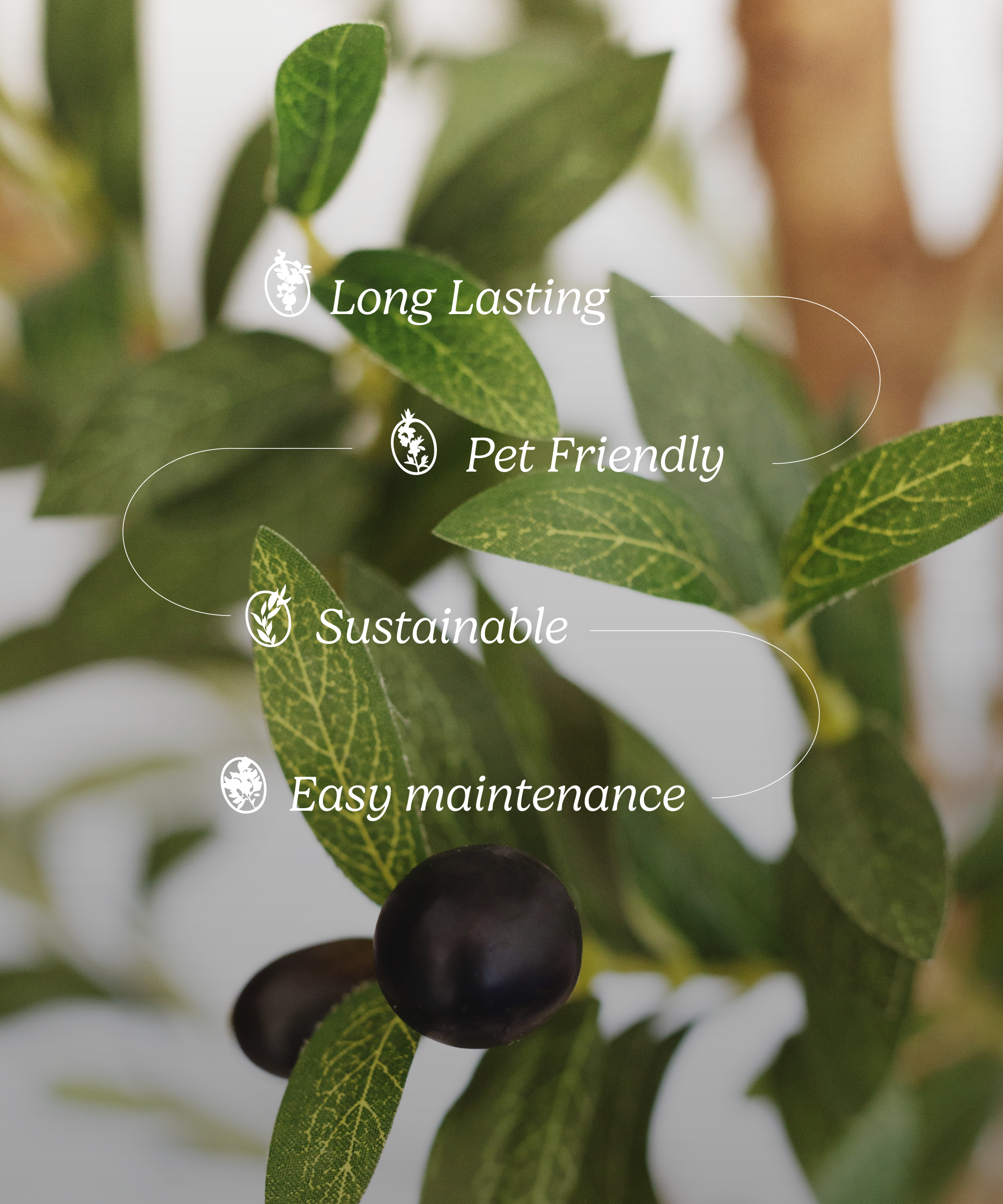 Maia Shop: No Duties for the US - Vente Plantes artificielles - Arbre d'olivier artificiel minimal de 1,5 m5