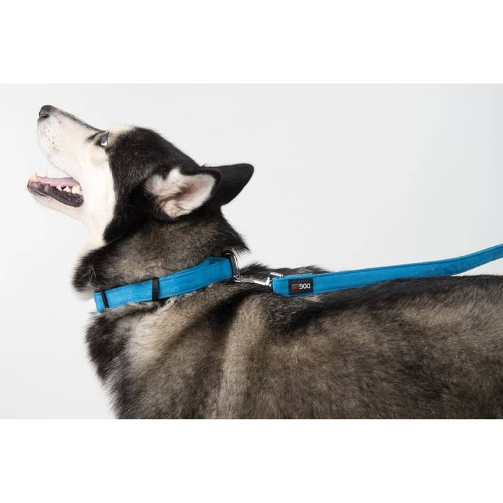 Dogline - Wholesale Pet collar – Dog - Comfort Microfiber Flat Collar14