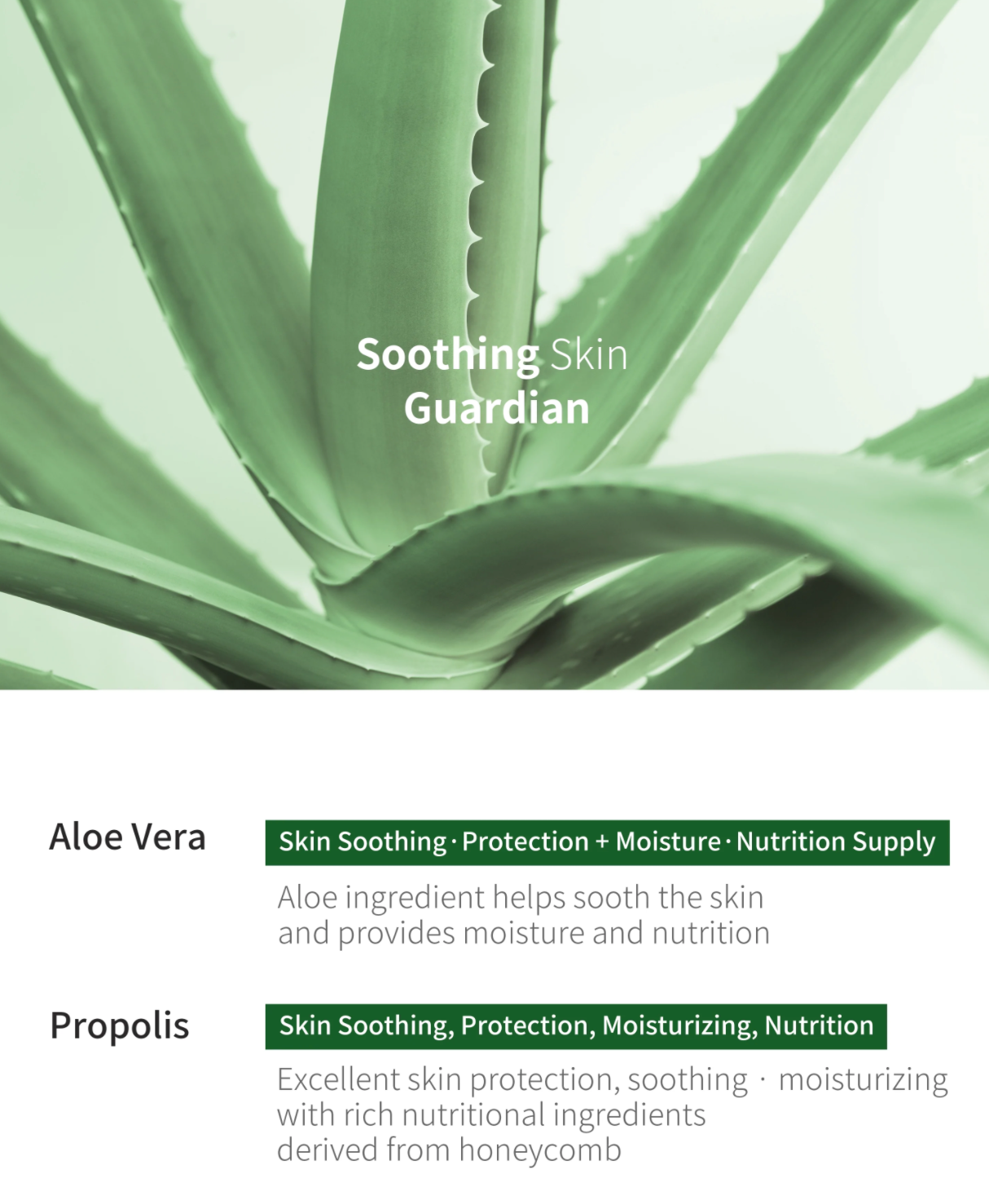 Best Beauty Group - Vente Crème/lotion pour le corps - Gel hydratant apaisant pour le visage et le corps à l'aloe propolis3