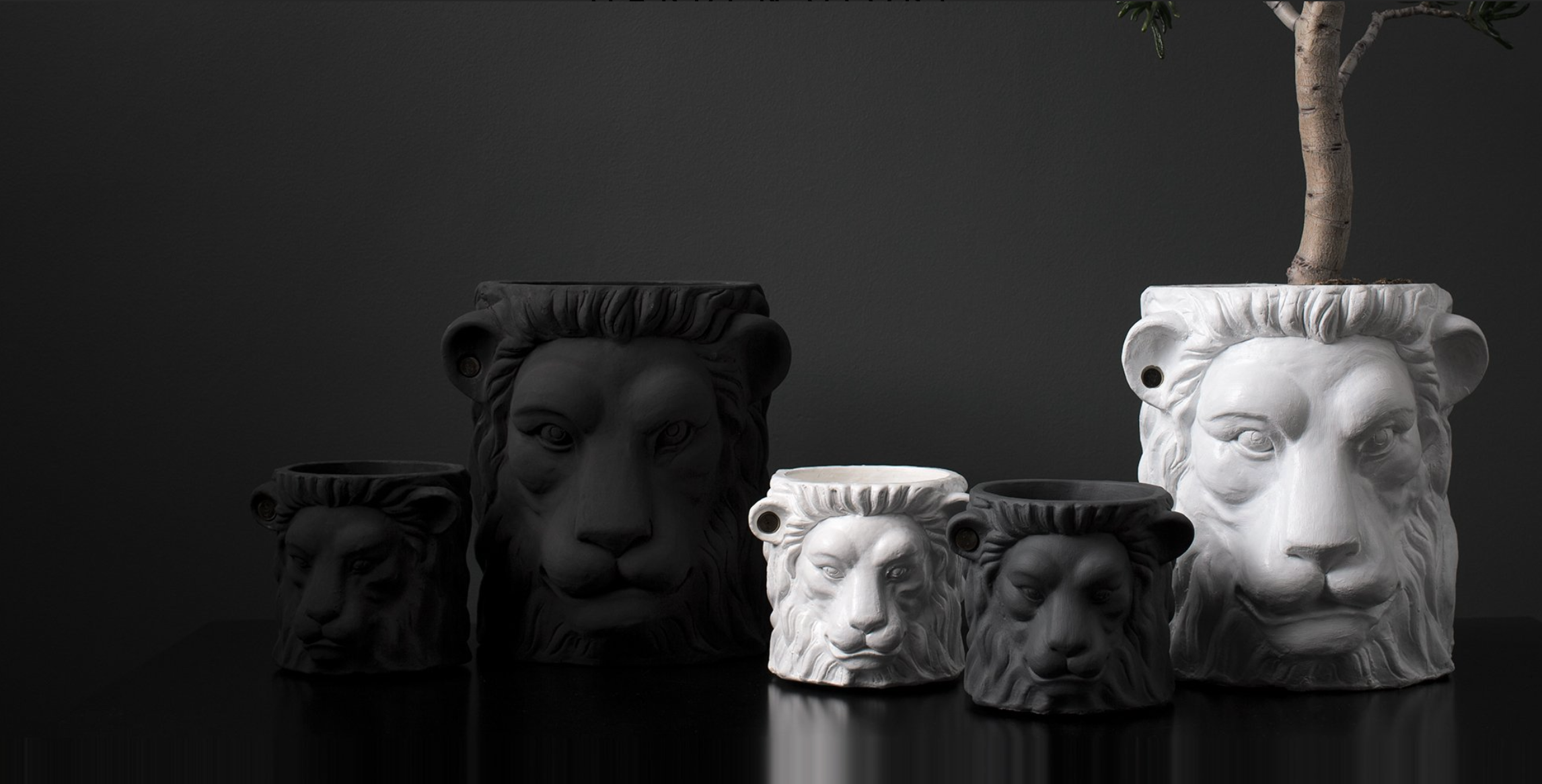 Garden Glory - Wholesale Plant Pot - Black Lion Pot small1