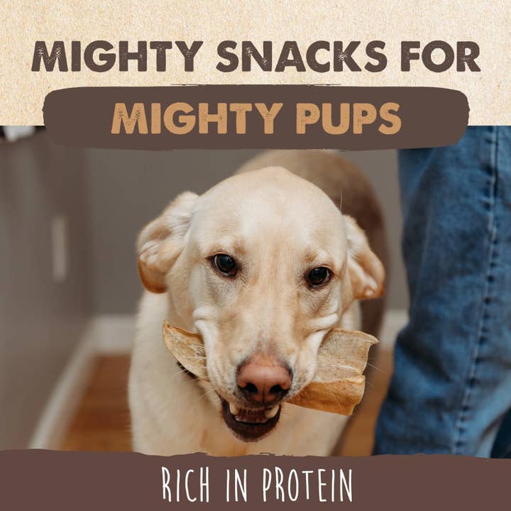 Mighty Paw - Wholesale Pet Treats - Dog - All-Natural Cow Ear Chews4