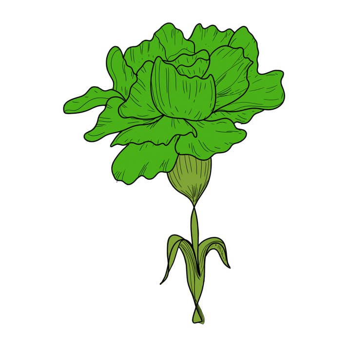 oORn – Großhandel Anstecker/Button – Harte Emaille-Pin der grünen Nelke4