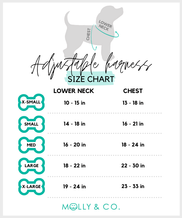 Molly & Co. - Wholesale Pet Collar - Dog - Royal Queen - Dog Collar2