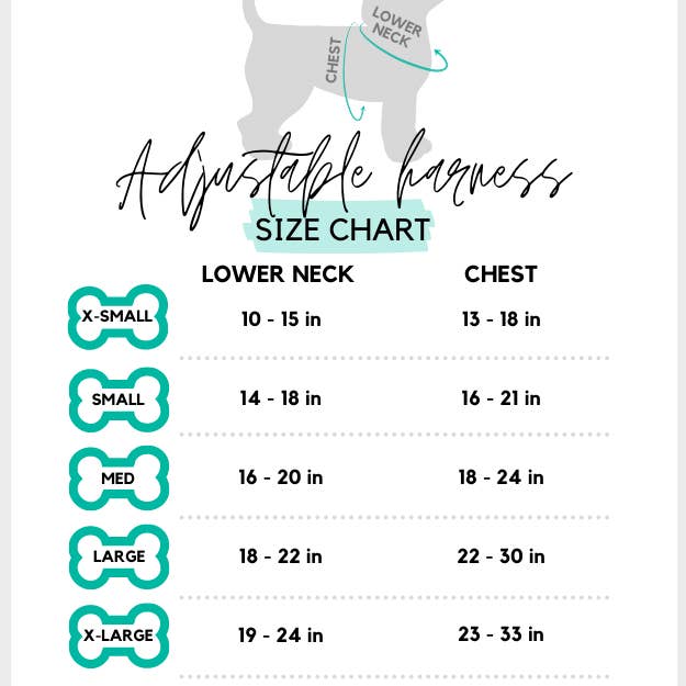 Molly & Co. - Wholesale Halsband - Hond - Koninklijke Koningin - Hondenhalsband2