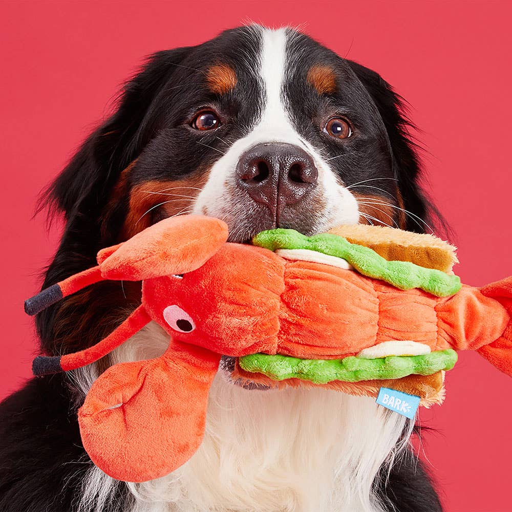 Pet Palette Distribution - Wholesale Pet Plush Toy - Dog - BARK Max's Maine Lobster Roll1