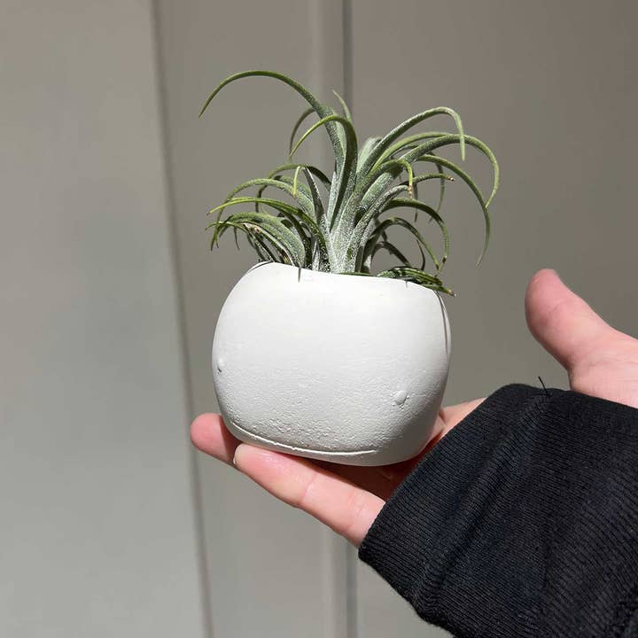 O Yeah Gifts - Wholesale Plant Pot - $500 SALE! Bundle Planters White Gray Orange Planter Pots2