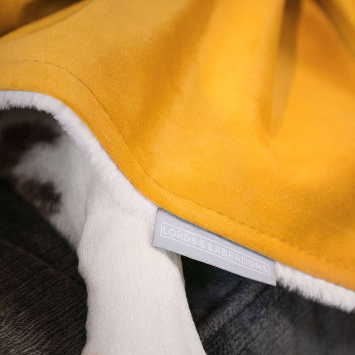 Dog & Puppy Blanket in Saffron Velvet for wholesale on Faire3