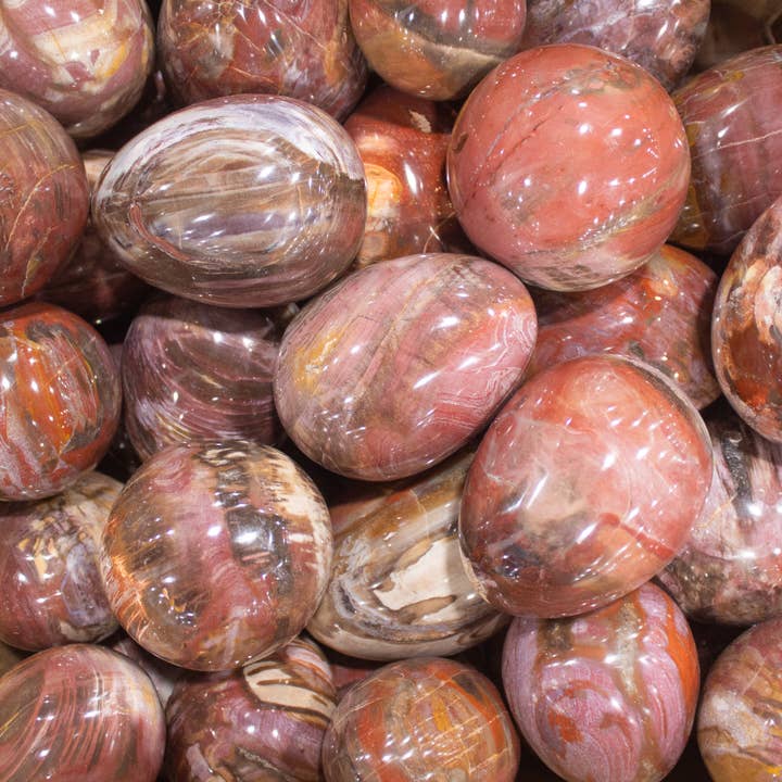 Petrified Wood Eggs for wholesale by Quasar Gems USA