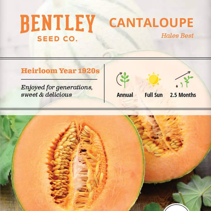 Cantaloupe, Hales Best Seed Packets and other Purchase Wholesale cuisse poulet halal. Free Returns & Net 60 Terms on Faire trending on Faire.