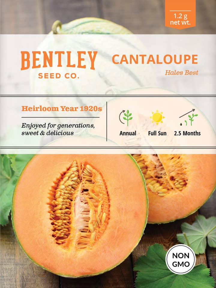 Cantaloupe, Hales Best Seed Packets for wholesale by Bentley Seed Co.