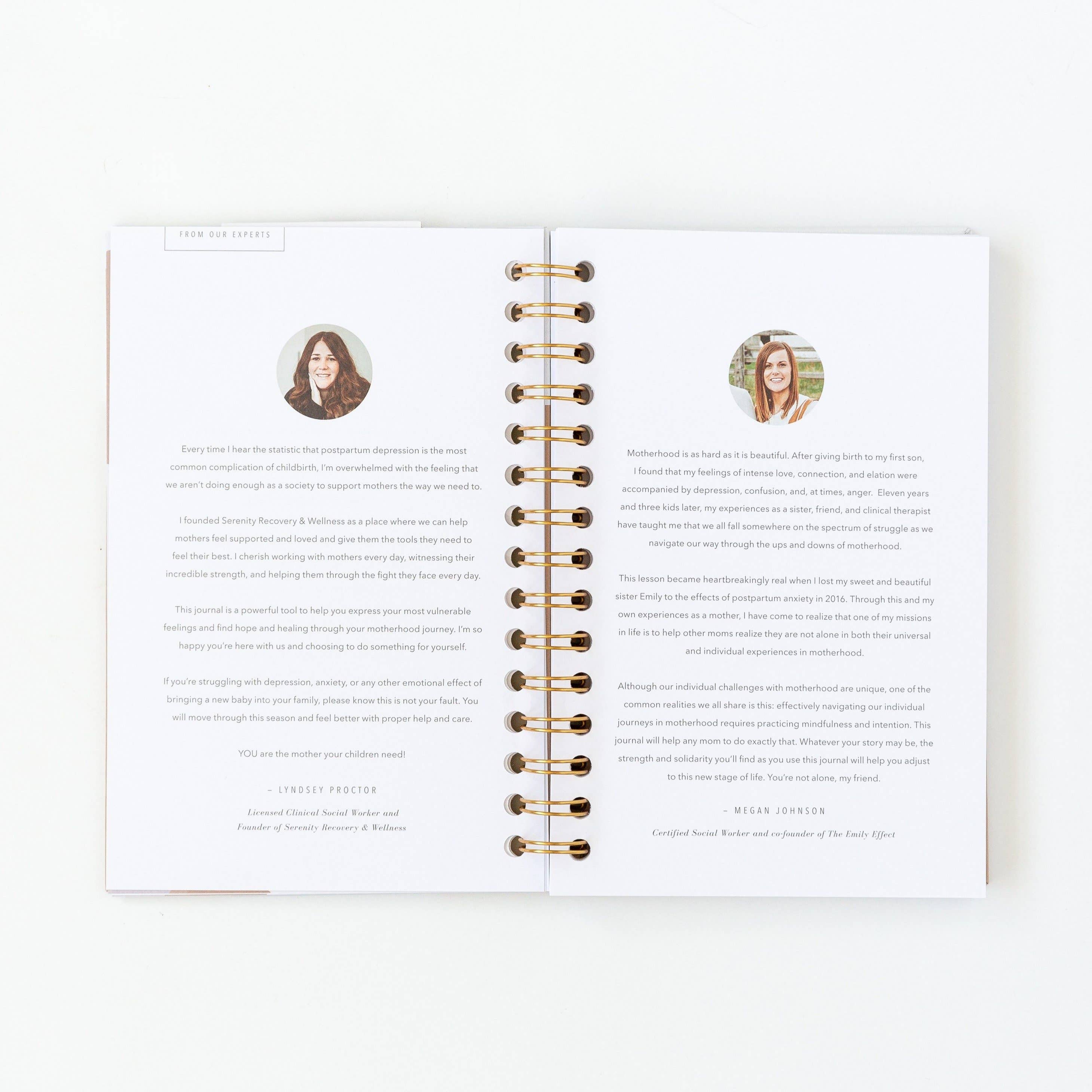 Promptly Journals – wholesale Diary – Maternity – My Postpartum Journal: A Year of Self-Care Gifts for Women7