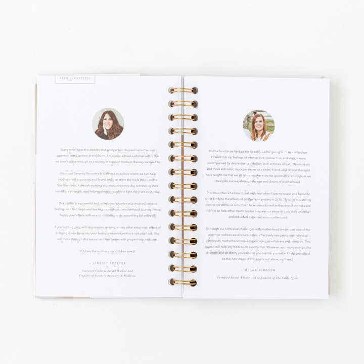 Promptly Journals - Wholesale Diary – Maternity - My Postpartum Journal: A Year of Self-Care Gifts for Women7