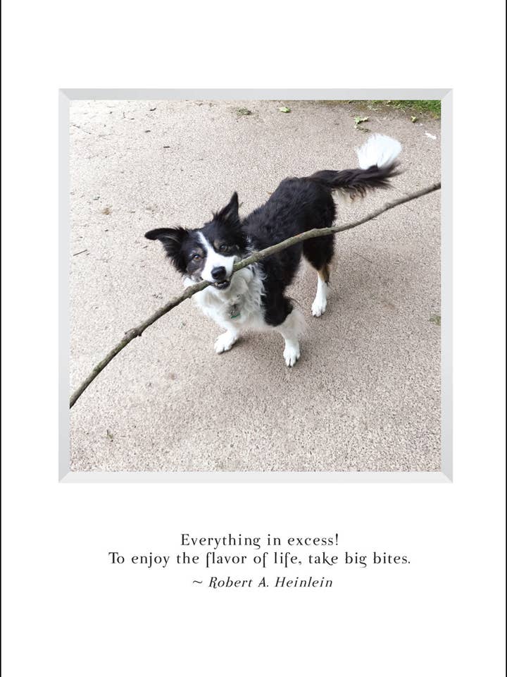 B627 - Surperformant pour la vente par Stonehenge Designs