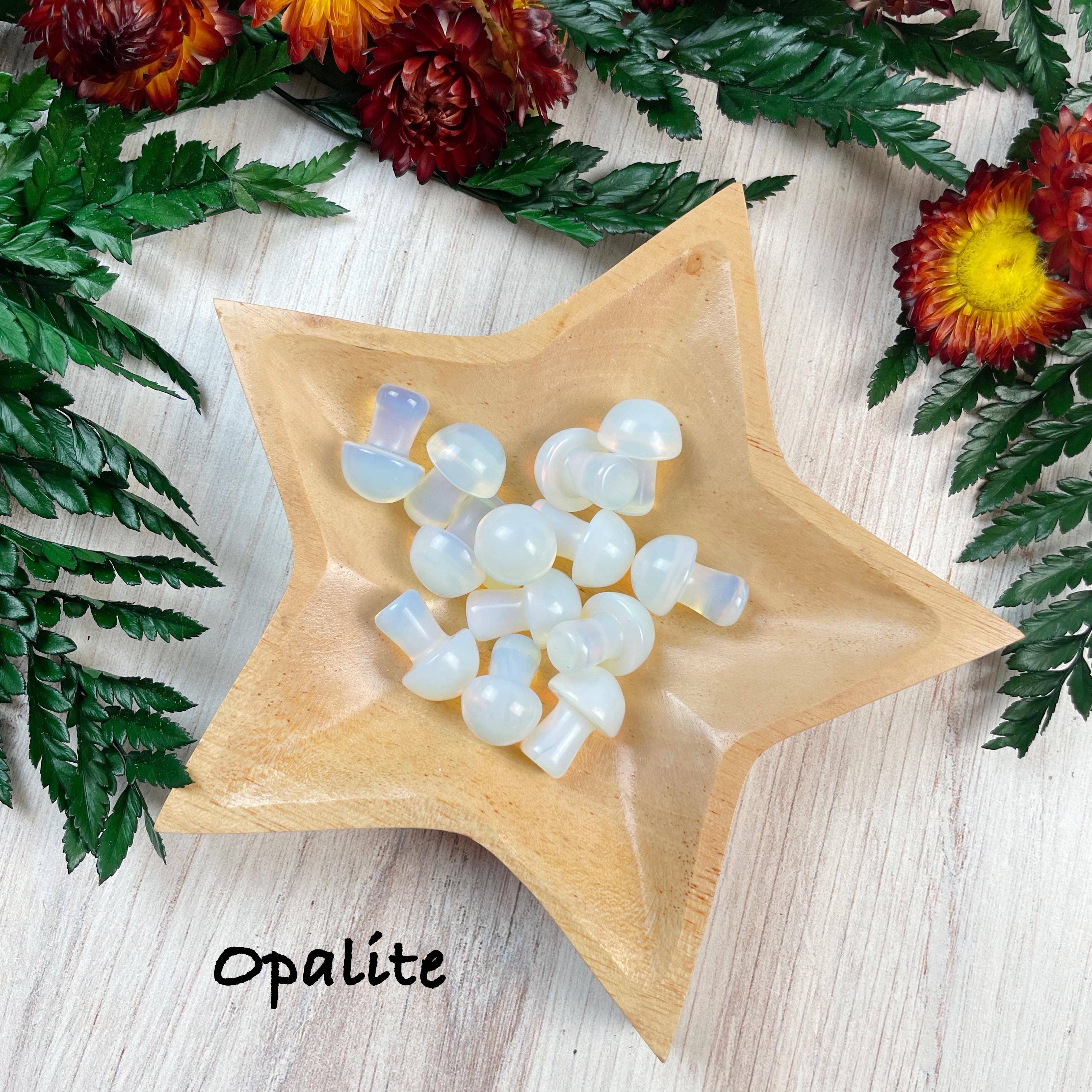 Ewelina Pas Jewelry - Wholesale Spiritual Stone/Crystal - MINI Gemstone Mushroom Pocket Stone23