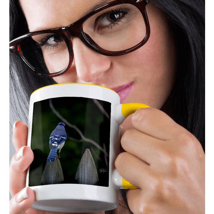 3dRose - Wholesale Coffee Mug - 3dRose, Colorful Bluejay Designed for Nature Lovers, Mug1