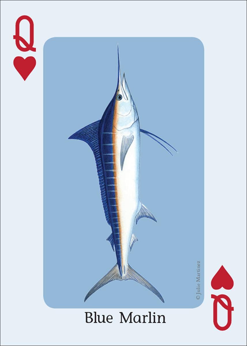 AdventureKEEN - Wholesale Playing Cards - Saltwater Fish of Gulf & Atlantic Playing Cards4