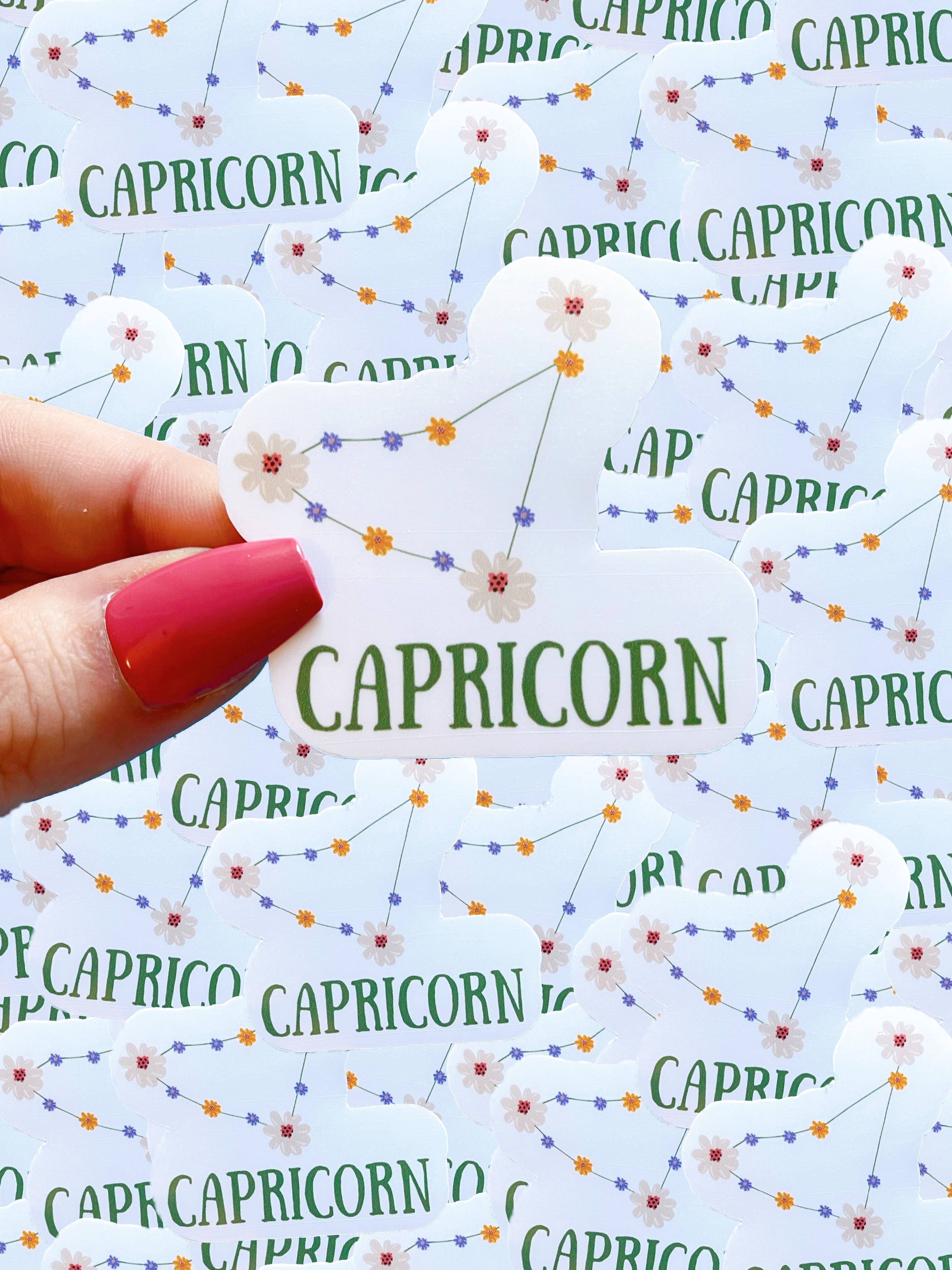 Typo Lettering Co - Wholesale Sticker - Floral zodiac waterproof sticker SET1