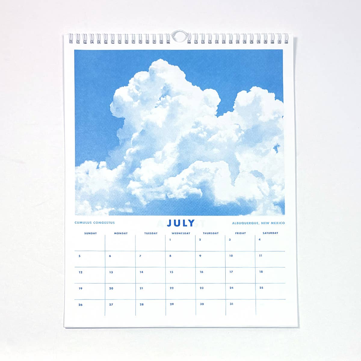 Next Chapter Studio - Wholesale Calendar - 2026 Wall Calendar - Clouds2