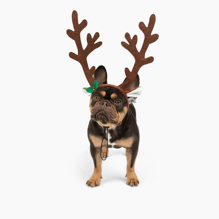 Midlee Designs - Wholesale Pet Costume - Dog - Midlee Brown Reindeer Dog Antlers Headband