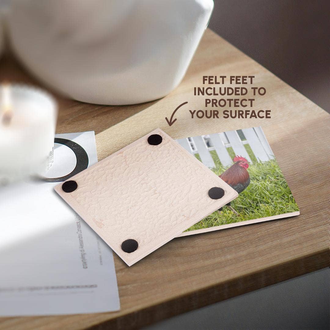 3dRose - Wholesale Coasters - 3dRose, Cubalaya Gypsy Rooster in Key West, Florida, USA., Coaster3