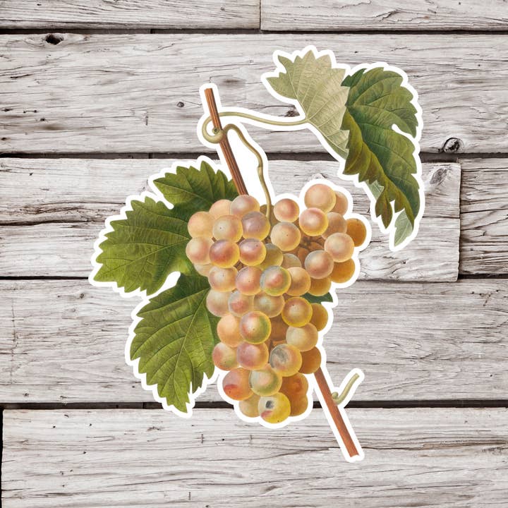 NatureCuts - Wholesale Sticker - Grape Sticker, Berry Sticker, Fruit Sticker0
